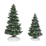 Department 56 Christmas Spruces Set of 2